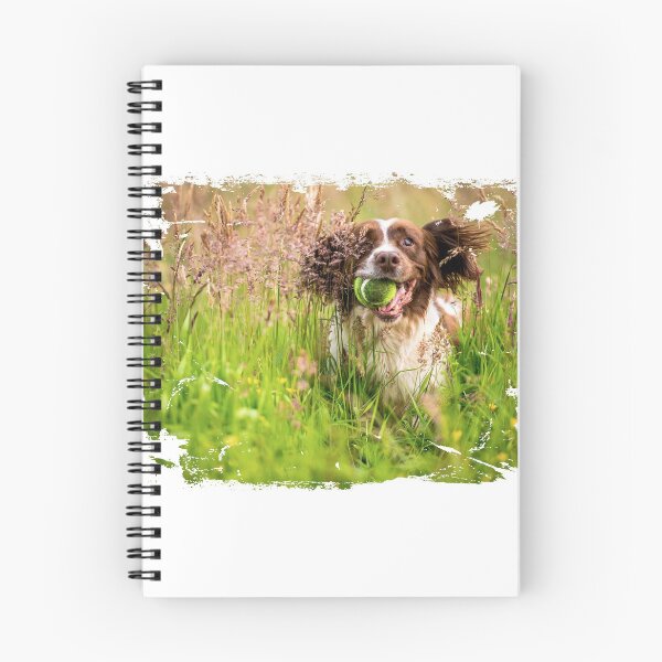 Item preview, Spinger Spaniel in long grass designed and sold by bdws.