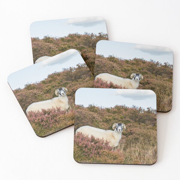 Item preview, Swaledale Sheep designed and sold by Jane Stanley Photography.