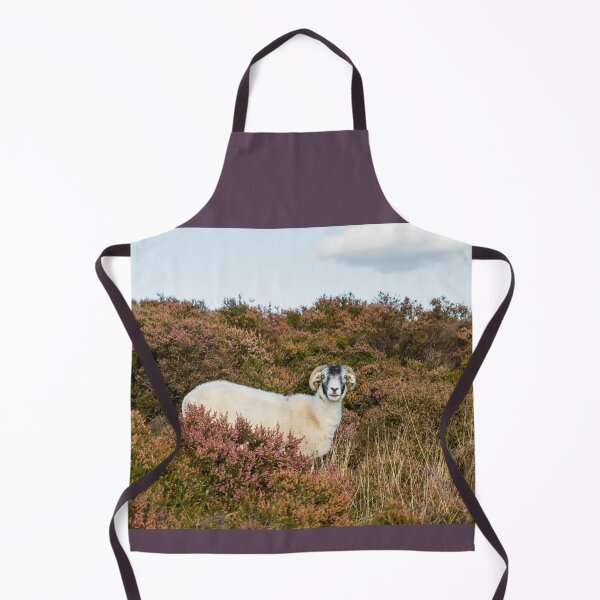 Item preview, Swaledale Sheep designed and sold by Jane Stanley Photography.