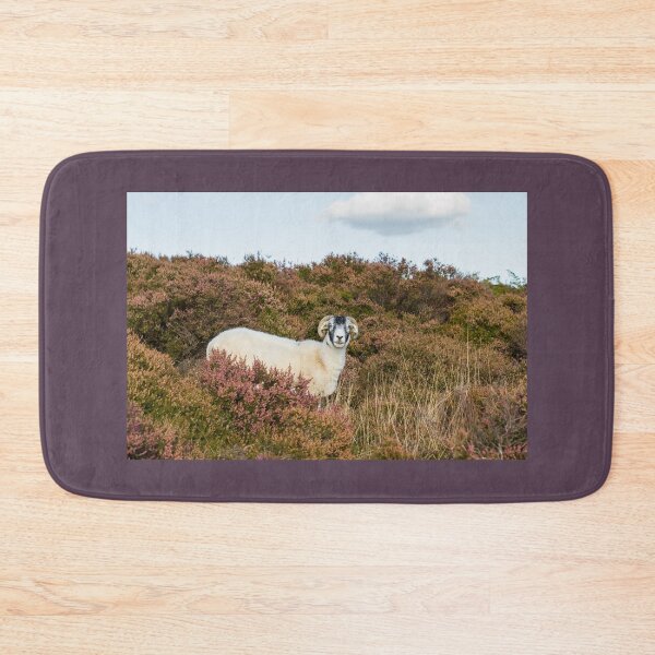 Item preview, Swaledale Sheep designed and sold by Jane Stanley Photography.