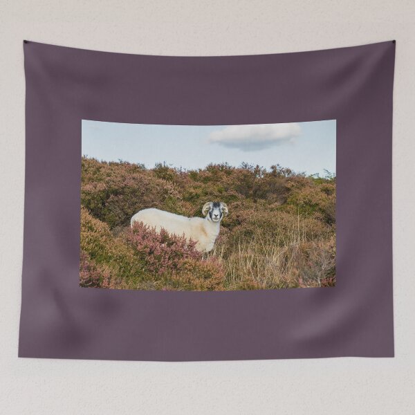 Item preview, Swaledale Sheep designed and sold by Jane Stanley Photography.