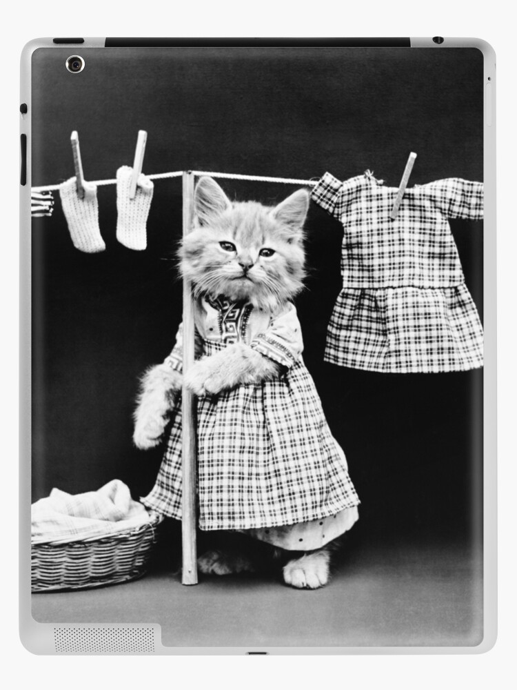 Funda y vinilo para iPad for Sale con la obra «Gato colgando ropa en  tendedero - Harry Whittier Frees» de warishellstore