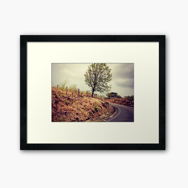 Around the Bend Framed Art Print
