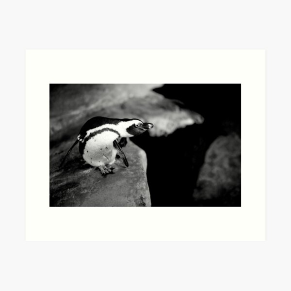 I Sea You (Monochrome) Art Print