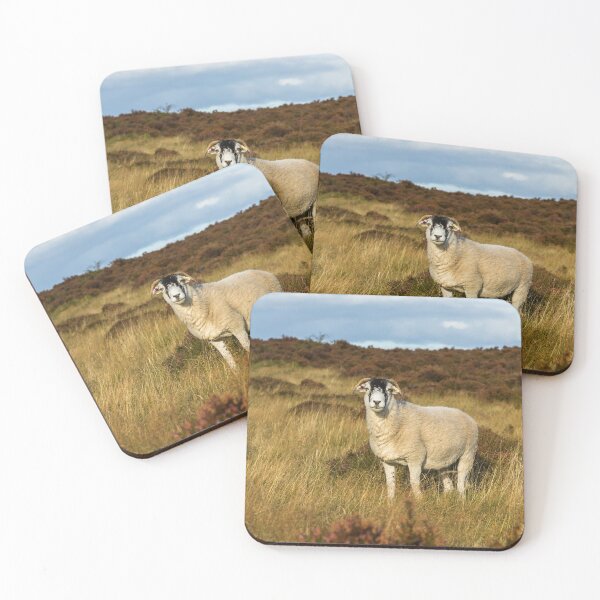 Item preview, Swaledale Sheep designed and sold by Jane Stanley Photography.