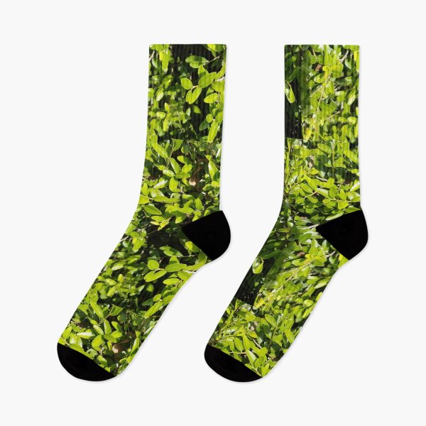Item preview, Bush Leaves Plant designed and sold by palaco210.