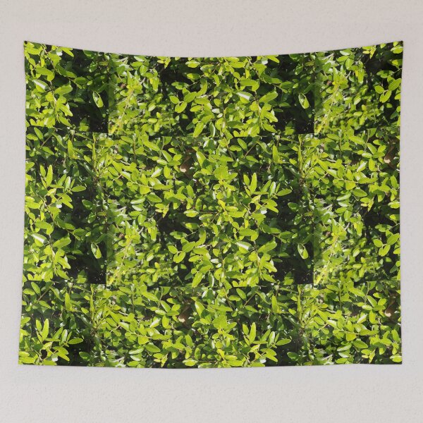 Item preview, Bush Leaves Plant designed and sold by palaco210.