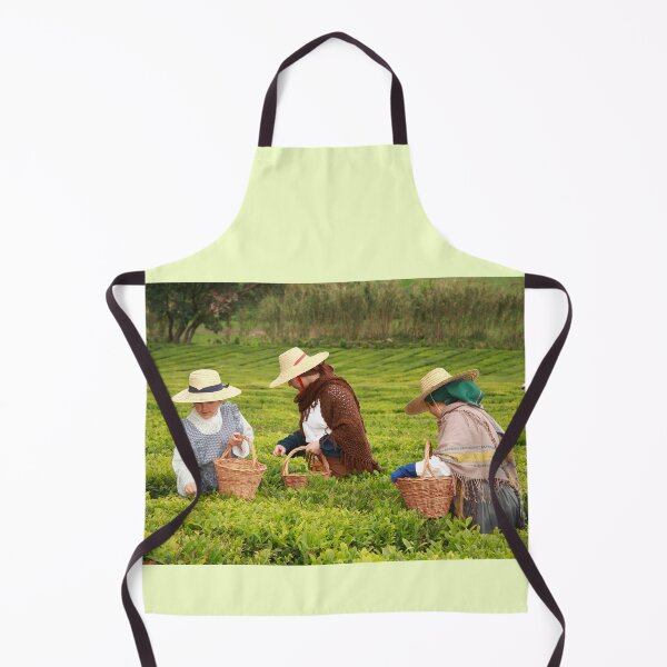 Item preview, Porto Formoso tea gardens designed and sold by Gaspar Avila.