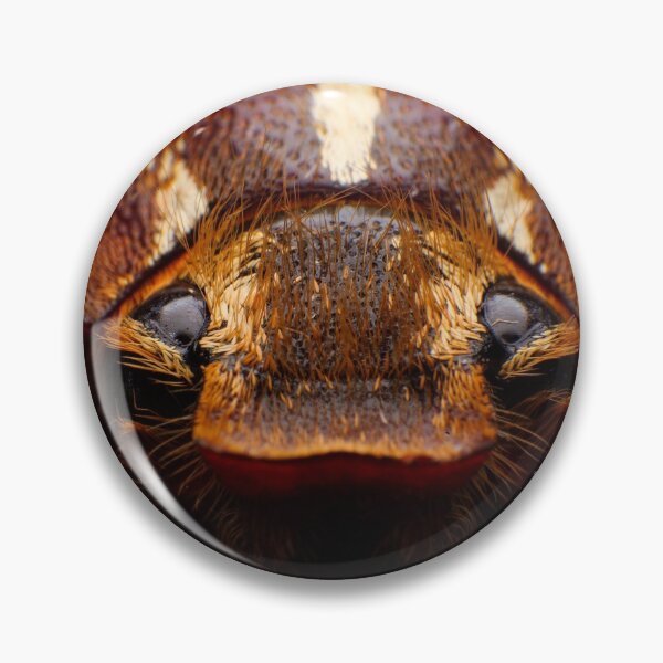 Item preview, June Beetle designed and sold by Tim Friesen.