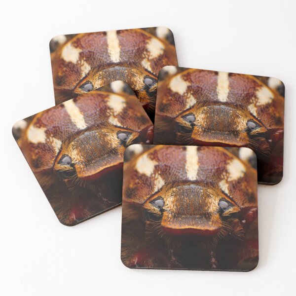 Item preview, June Beetle designed and sold by Tim Friesen.