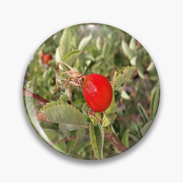 Item preview, Rose Hip designed and sold by craftsbydaphy.