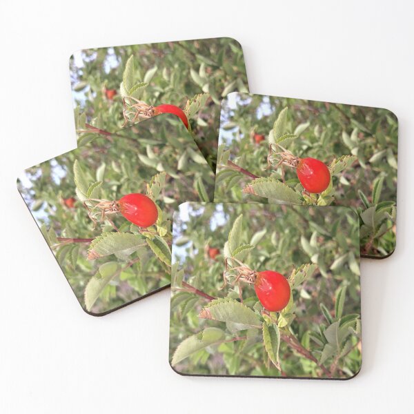 Item preview, Rose Hip designed and sold by craftsbydaphy.