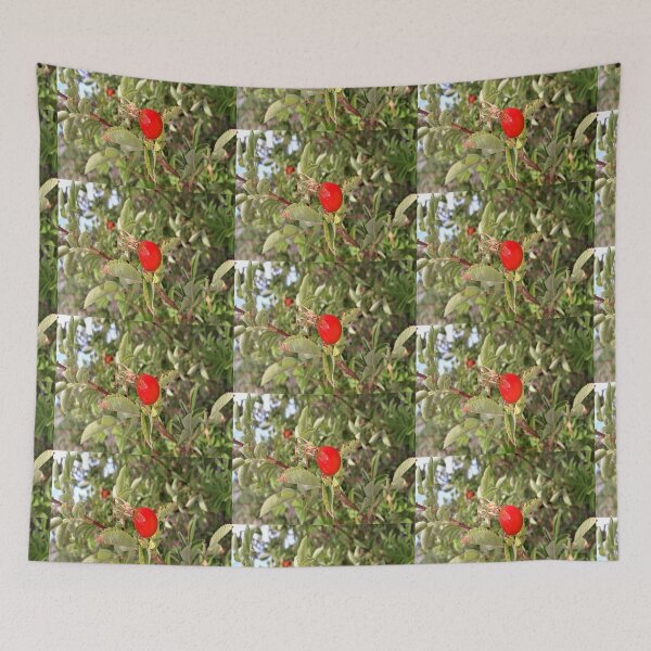 Item preview, Rose Hip designed and sold by craftsbydaphy.