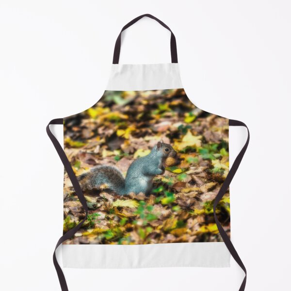 Item preview, Squirrel with walnut designed and sold by Roberto Pagani.