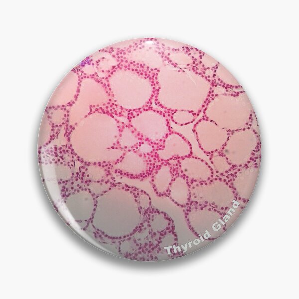Item preview, Thyroid Gland designed and sold by MVanHyll.