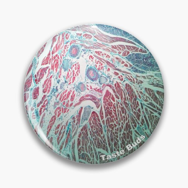 Item preview, Taste Buds designed and sold by MVanHyll.