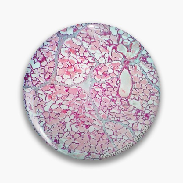 Item preview, Mammary Gland designed and sold by MVanHyll.
