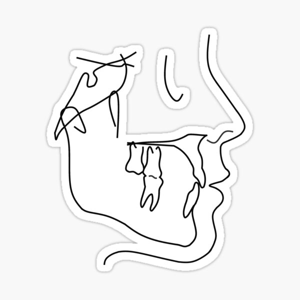 Anatomía Dental (GRANDE Pegatina