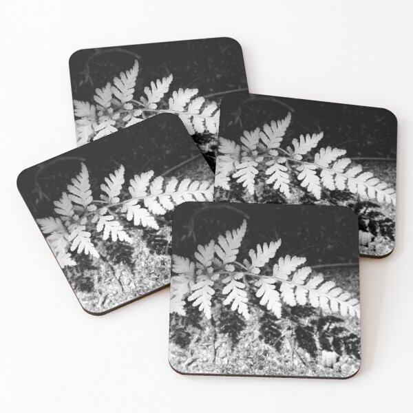 Shadow Fern Coasters (Set of 4)