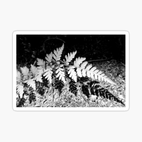 Shadow Fern Sticker