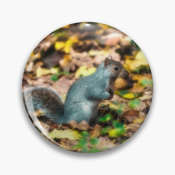 Item preview, Squirrel with walnut designed and sold by Roberto Pagani.