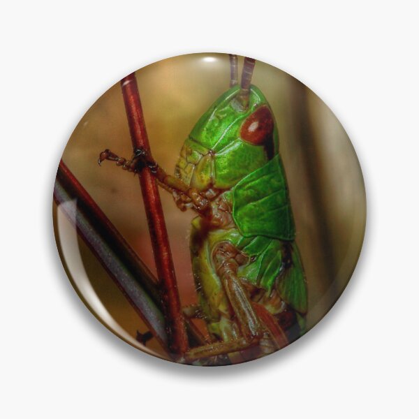 Item preview, Grasshopper designed and sold by Roberto Pagani.