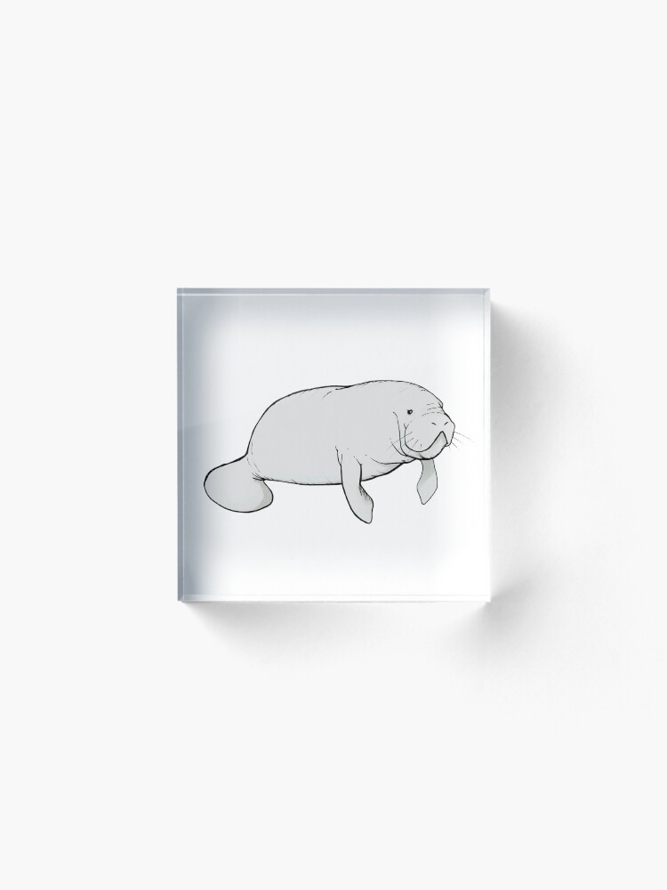Alternate view of Manatee Mania Acrylic Block