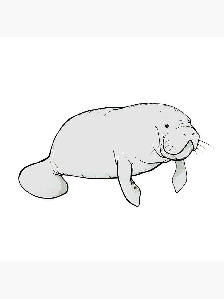 Manatee Mania by ThePreppyPagans