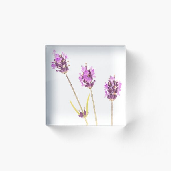 Lavender Acrylic Block