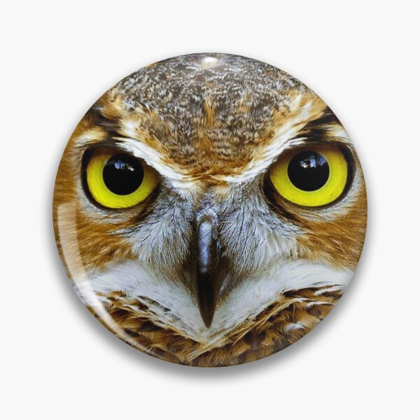 Item preview, Owl designed and sold by Cheesy06.