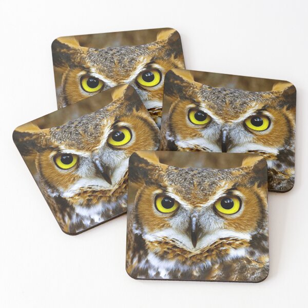 Item preview, Owl designed and sold by Cheesy06.