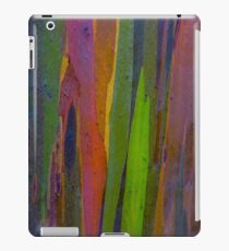 Rainbow Eucalyptus 1 iPad Case/Skin
