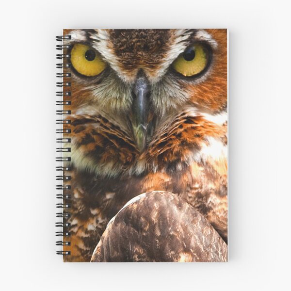 Item preview, Copie de Owl designed and sold by Cheesy06.