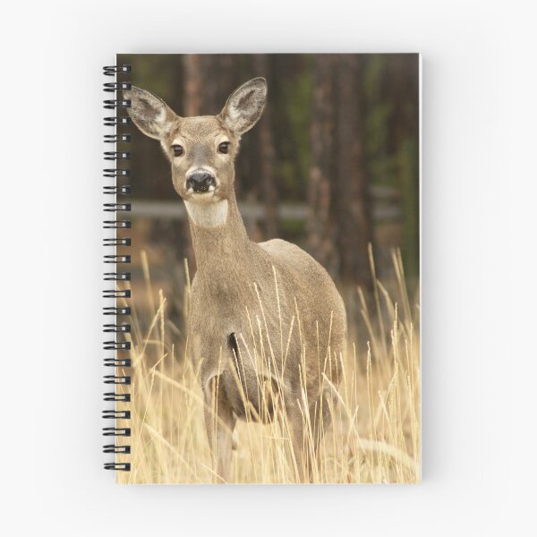 Item preview, I hunt with a Nikon! designed and sold by Bryan Spellman.