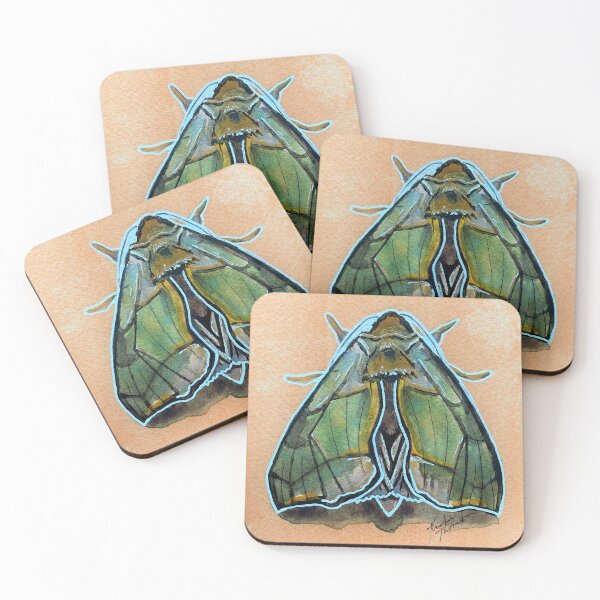 Item preview, Green Perched Looper - Diachrysia Balluca designed and sold by Kristin (Thornton) Barker.