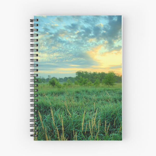 Item preview, Marsh Summer Sunrise 2020 2 designed and sold by LynyrdSky.