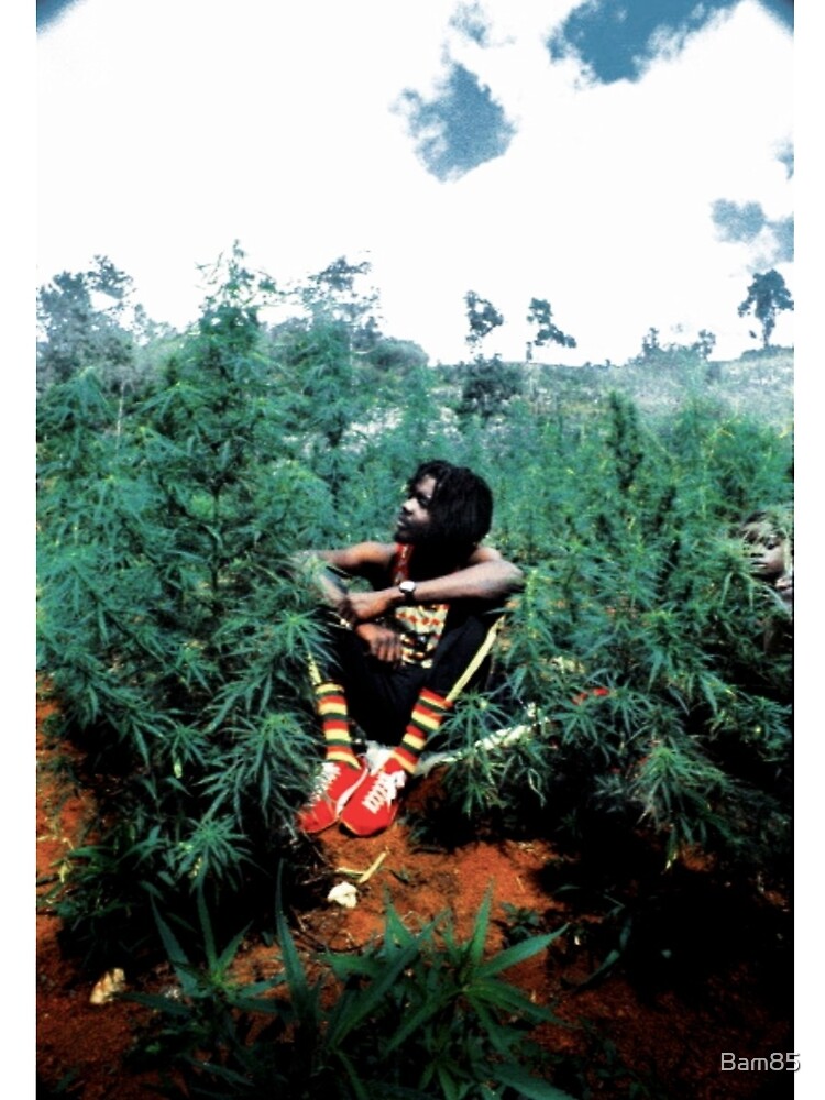 peter tosh von Bam85