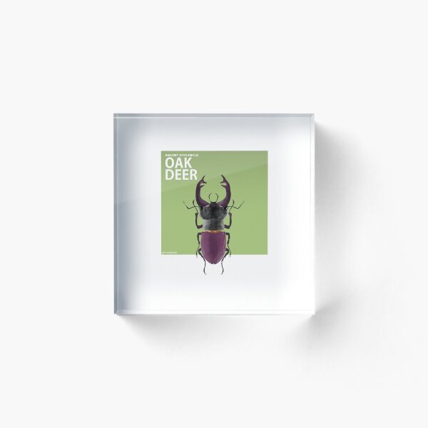 The Mighty Stag Beetle (Literal Danish) - Oak Deer Acrylic Block