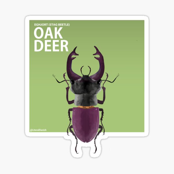 The Mighty Stag Beetle (Literal Danish) - Oak Deer Sticker