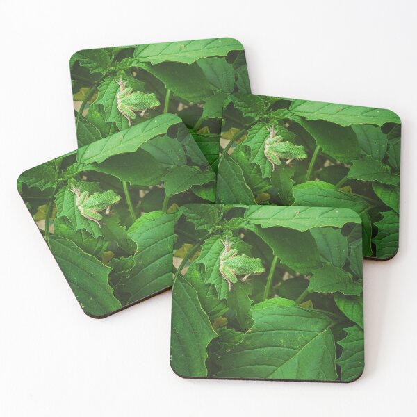 Item preview, Treefrog on Tomatillo Leaves designed and sold by Veronica Leigh.