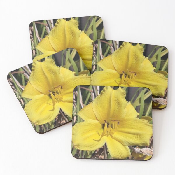 Item preview, Bright Yellow Wild Flower designed and sold by craftsbydaphy.