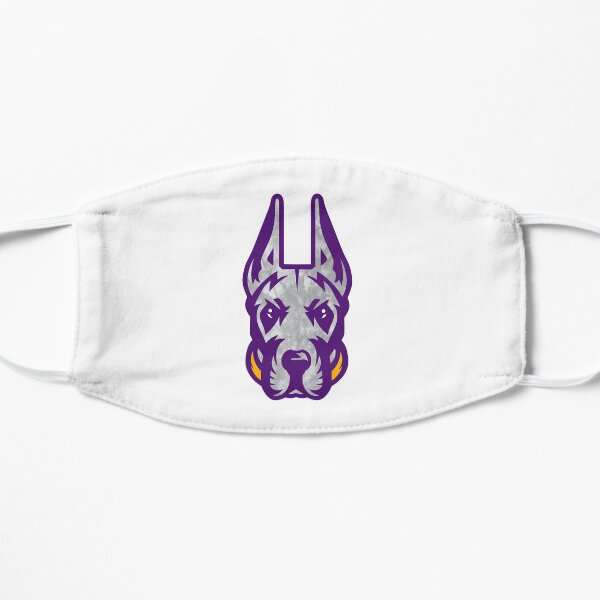 UAlbany Tie Dye Great Dane 2020 Flat Mask