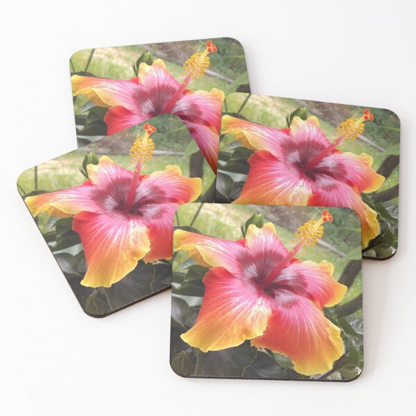 Hibiscus Spin The Bottle Coasters (Set of 4)