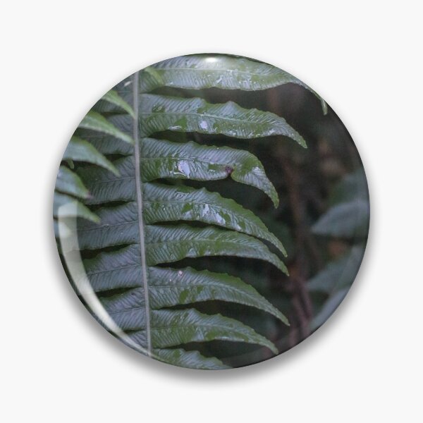 Item preview, New Zealand fern designed and sold by Curious-Camera.