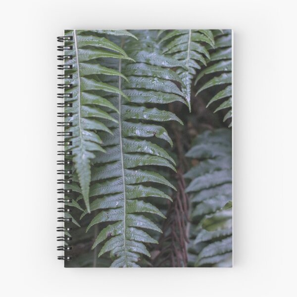 Item preview, New Zealand fern designed and sold by Curious-Camera.