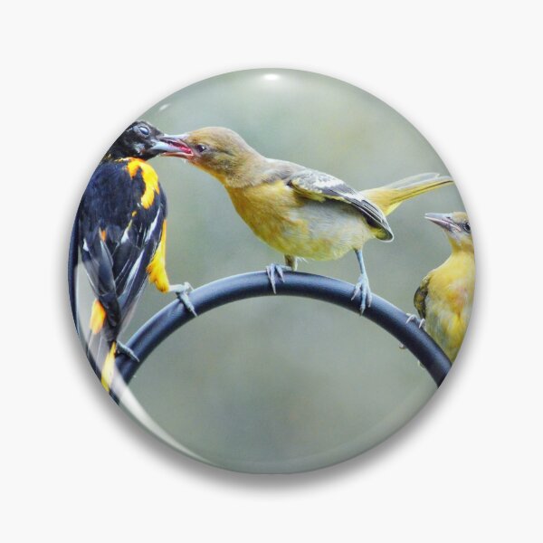 Item preview, Hungry fledglings designed and sold by Laurie Minor.