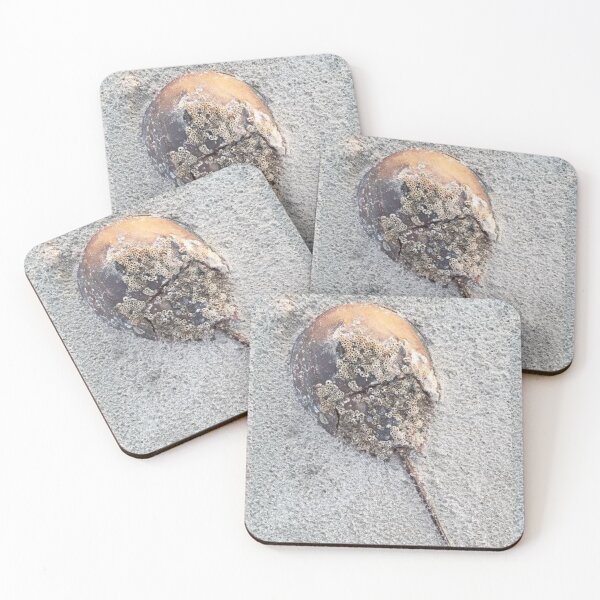Item preview, Horseshoe crab #1 designed and sold by gratogratto.