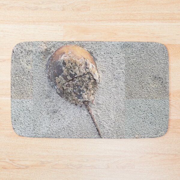 Aperçu de l'œuvre Horseshoe crab #1 créée et vendue par gratogratto.