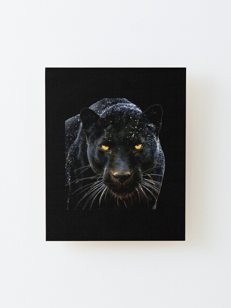 Photo & Art Print Black Leopard (6 years) in front of a white background