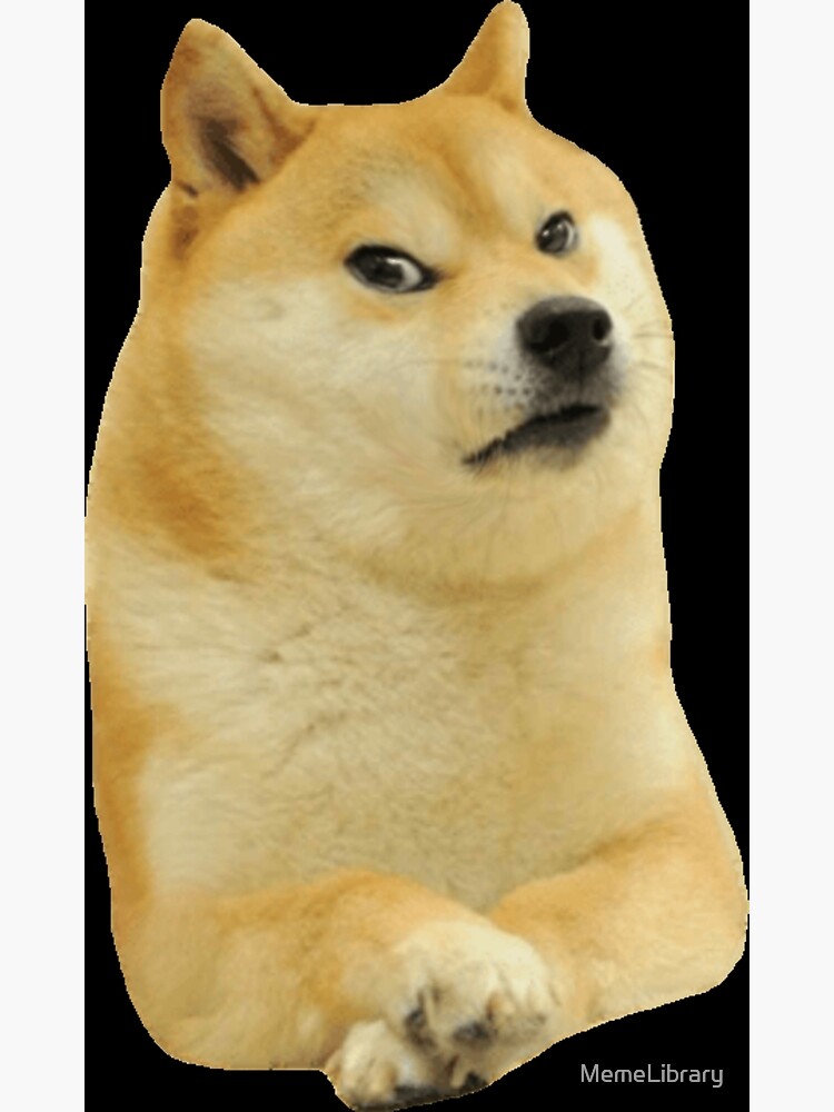 angry dogecoin